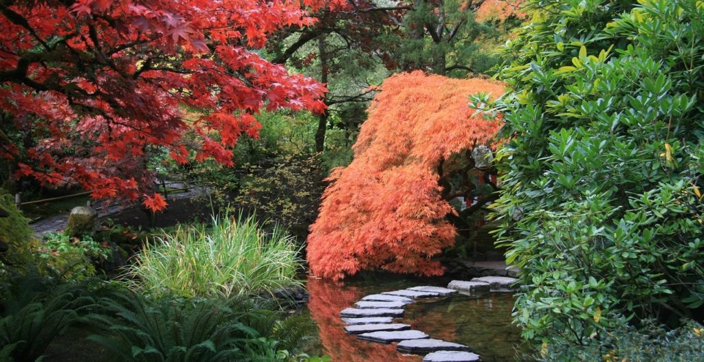Webbinar: Japansk trädgård